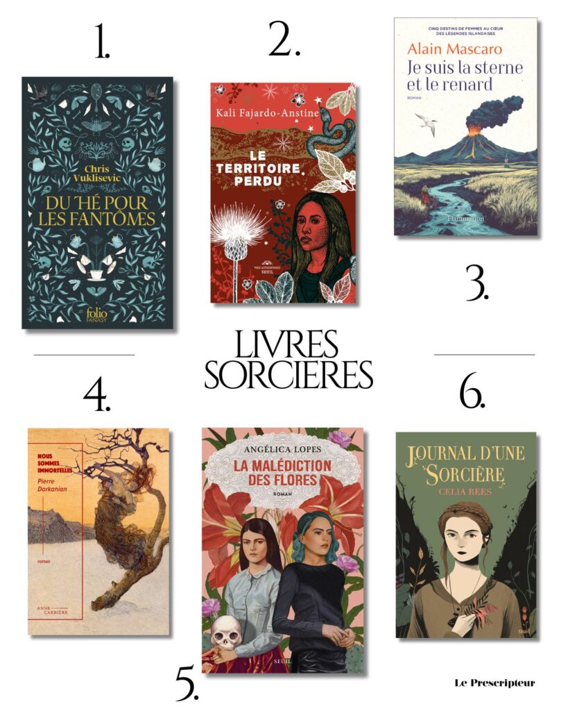 romans sorcières sorcellerie à lire cet été meilleure sélection sophie heroltpetitpas leprescripteur du thé pour les fantomes le territoire perdu je suis la sterne et le renard nous sommes immortelles la malédiction des flores journal d'une sorcière