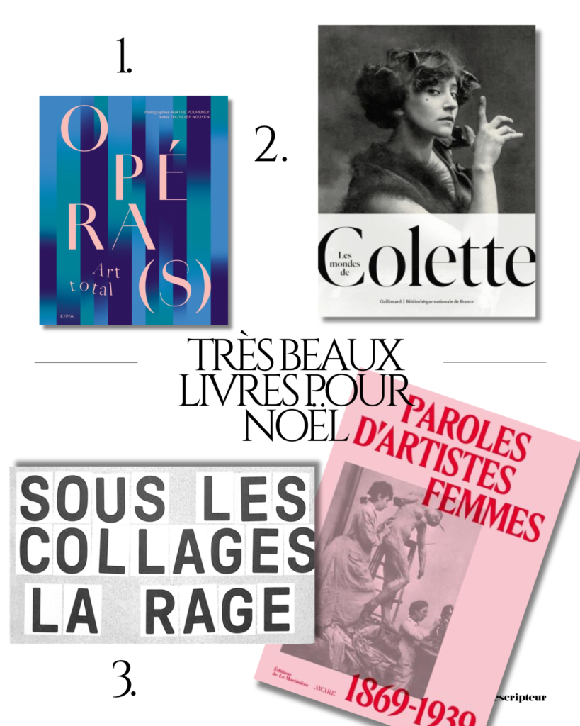 Les 12 très beaux livres qu’on aimerait bien voir aux pieds du sapin mari masuyer le prescripteur