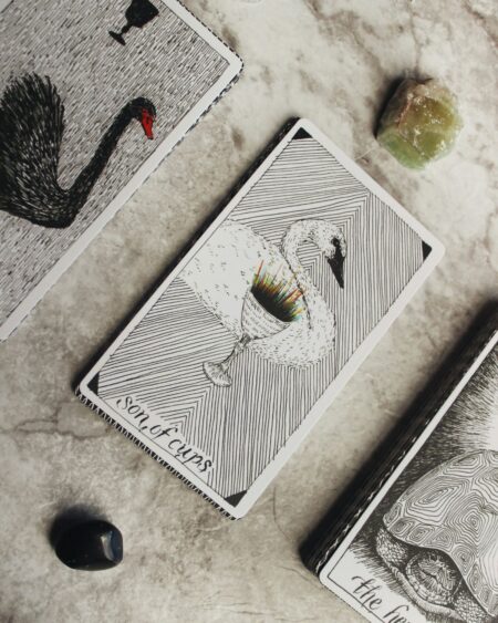 Passion Tarot et Oracles  la déferlante le prescripteur sophie herolt petitpas crédit photo jen theodore