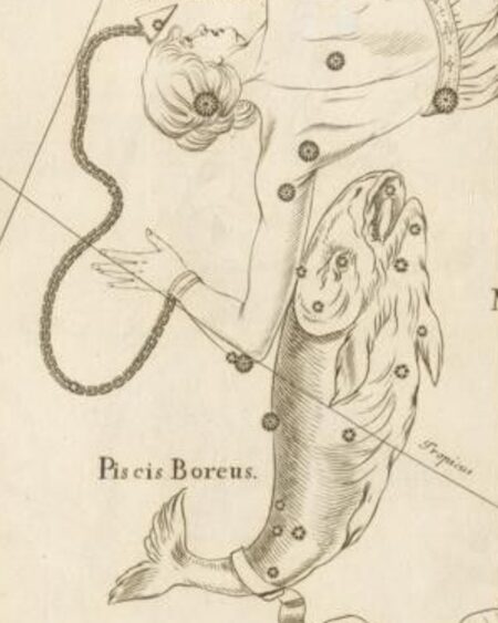 Ce que la saison Poissons nous réserve sophie herolt petitpas le prescripteur